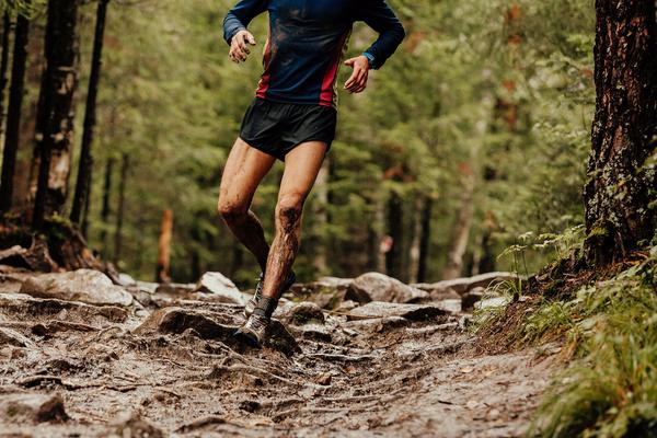 Mud Runs