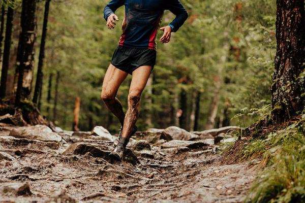 Mud Runs